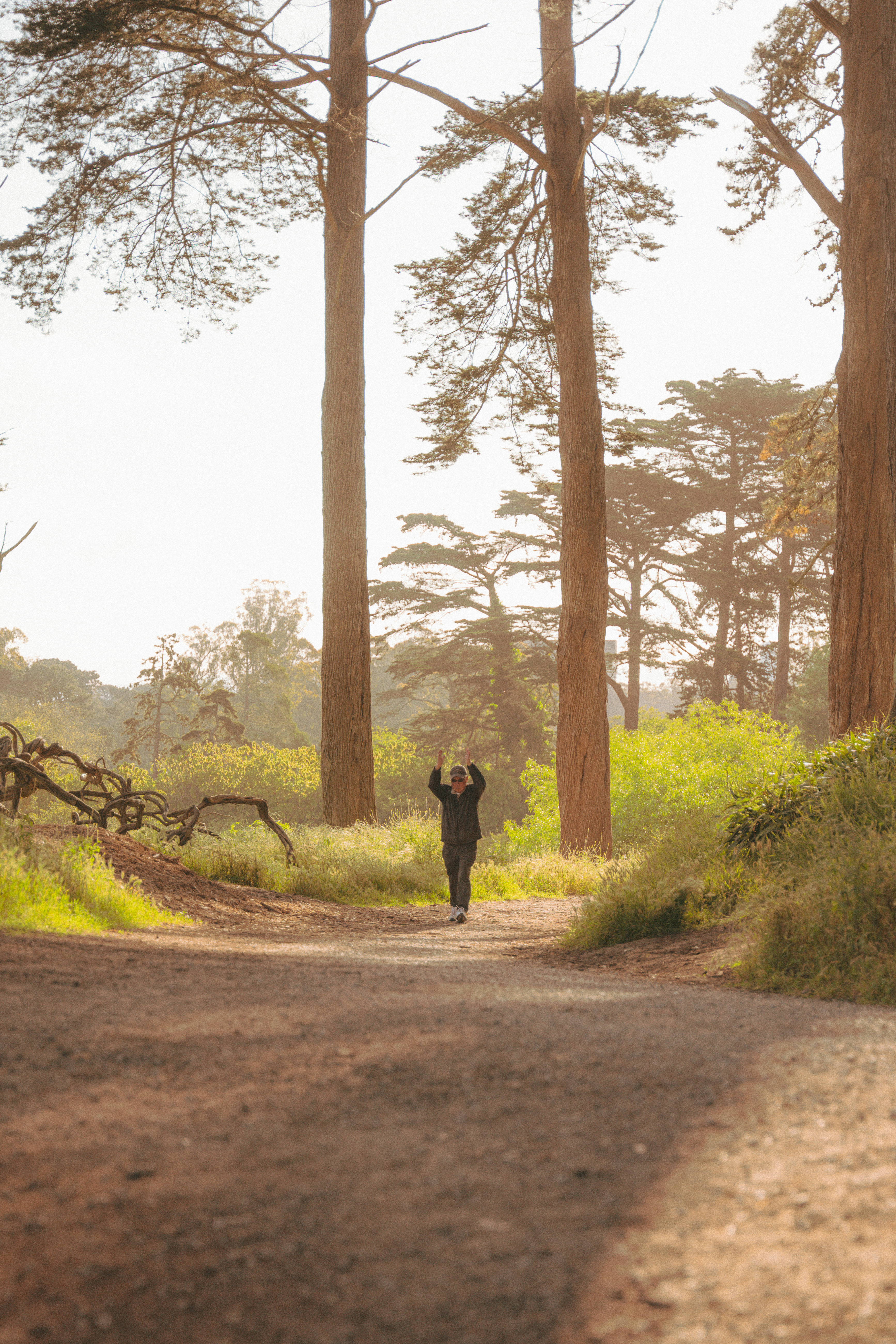 Golden Gate Park