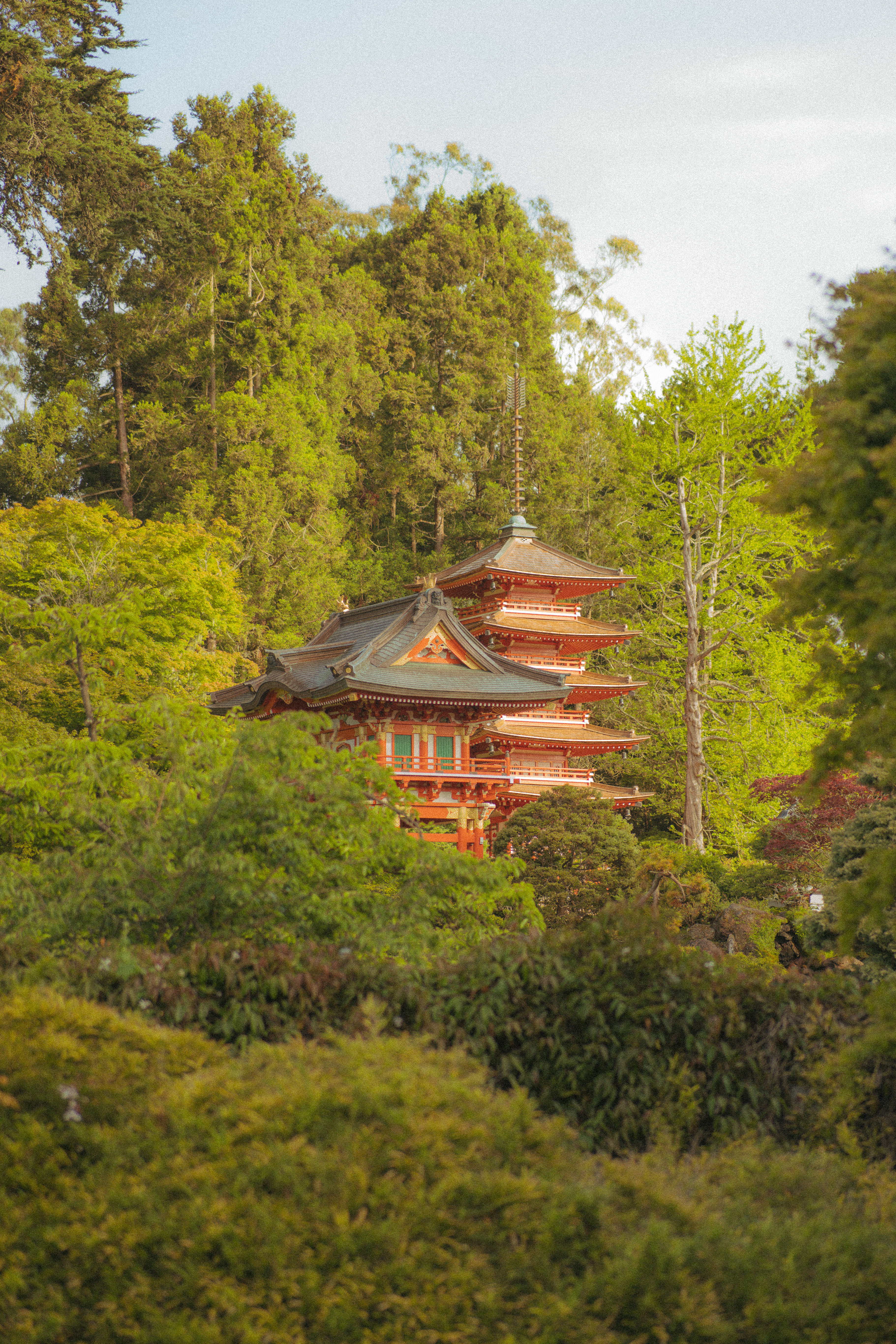 Pagoda in Trees